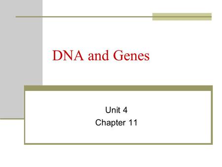DNA and Genes Unit 4 Chapter 11.
