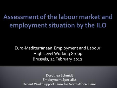 Euro-Mediterranean Employment and Labour High Level Working Group Brussels, 14 February 2012 Dorothea Schmidt Employment Specialist Decent Work Support.