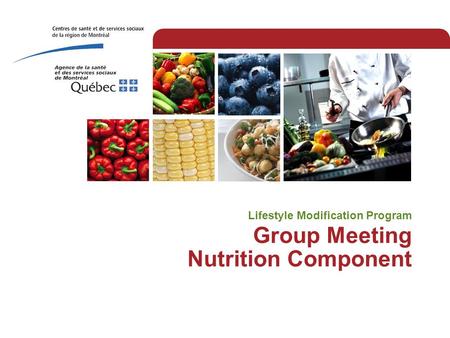 Group Meeting Nutrition Component Lifestyle Modification Program.