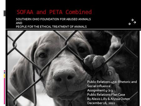 SOFAA and PETA Combined SOUTHERN OHIO FOUNDATION FOR ABUSED ANIMALS AND PEOPLE FOR THE ETHICAL TREATMENT OF ANIMALS Public Relations 450- Rhetoric and.