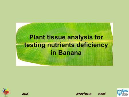 Plant tissue analysis for testing nutrients deficiency in Banana