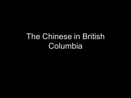 The Chinese in British Columbia. In the early 1850's the First Chinese arrived in North America amongst the many other prospectors searching for gold.