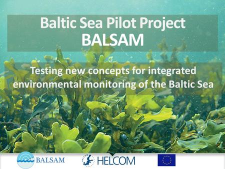 Baltic Sea Pilot Project BALSAM Testing new concepts for integrated environmental monitoring of the Baltic Sea.