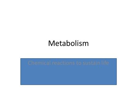 Metabolism Chemical reactions to sustain life. Metabolism Example Potato= cellulose (cell walls) + starch (energy) “carbs” Catabolism—the potato (cellulose.