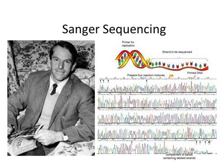 Sanger Sequencing. 1) Get Some DNA To Sequence *le pick… *le smash… *le precipitate… *le DNA in le solution.