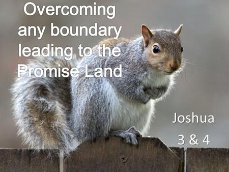 Overcoming any boundary leading to the Promise Land