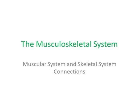 The Musculoskeletal System Muscular System and Skeletal System Connections.