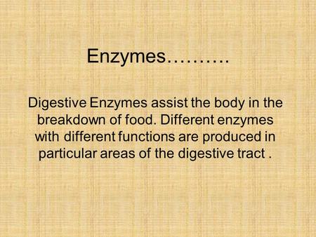 Enzymes………. Digestive Enzymes assist the body in the breakdown of food. Different enzymes with different functions are produced in particular areas of.