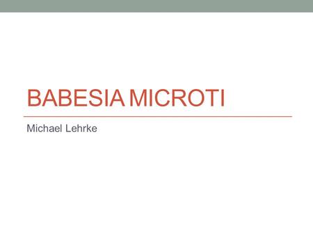 BABESIA MICROTI Michael Lehrke. Babesia microti Classification PhylumApicomplexa ClassAconoidasida OrderPiroplasmida FamilyBabesiidae GenusBabesia Speciesmicroti.