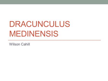 DRACUNCULUS MEDINENSIS Wilson Cahill. Dracunculus medinensis Classification PhylumNematoda ClassSecernentea OrderCamallanida FamilyDracunculidae GenusDracunculus.