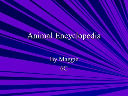 Animal Encyclopedia By Maggie 6C. Table of Contents Amphibians Golden Poison Dart Frog Golden Poison Dart Frog & Northern Leopard Frog Northern Leopard.