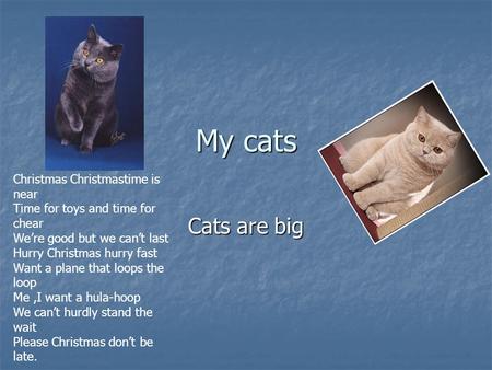 My cats Cats are big Christmas Christmastime is near Time for toys and time for chear We’re good but we can’t last Hurry Christmas hurry fast Want a plane.