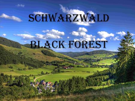 Schwarzwald Black forest. Schluchsee  is one of the biggest lakes in Baden –Württemberg  The width is 1,2 km and the length is 7,5 km  The lake has.