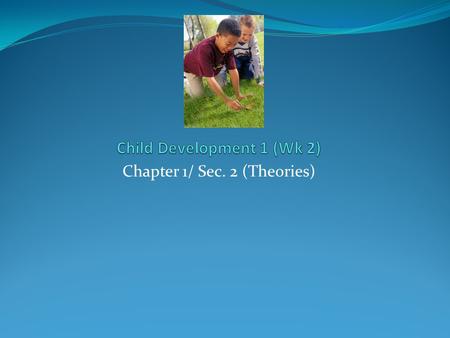 Chapter 1/ Sec. 2 (Theories). A theory - an orderly, integrated set of statements that are cohesive; the statements describe, explain, and predict human.