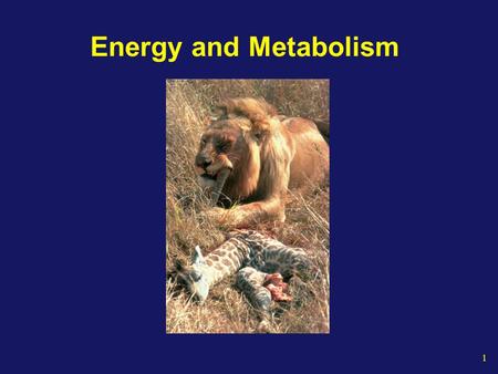 1 Energy and Metabolism. 2 The Energy of Life The living cell generates thousands of different reactions Metabolism Is the totality of an organism’s chemical.