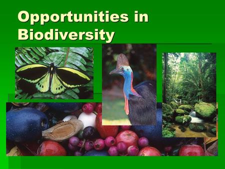 Opportunities in Biodiversity