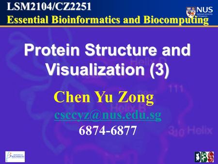 LSM2104/CZ2251 Essential Bioinformatics and Biocomputing Essential Bioinformatics and Biocomputing Protein Structure and Visualization (3) Chen Yu Zong.