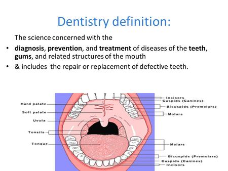 Dentistry definition: The science concerned with the diagnosis, prevention, and treatment of diseases of the teeth, gums, and related structures of the.