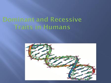 Dominant and Recessive Traits in Humans.  There are over 200 traits that are transmitted from generation to generation in humans. These interesting.