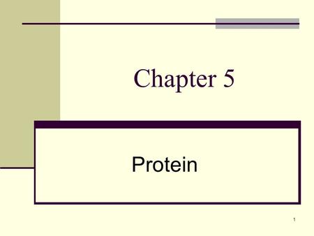1 Chapter 5 Protein. 2 Learning Objectives 1. Identify and describe the building blocks of protein 2. List the functions of protein in the body 3. Explain.