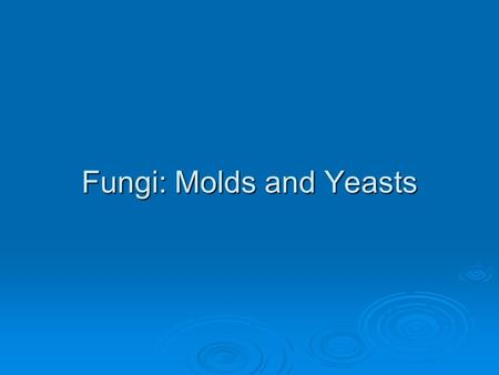 Fungi: Molds and Yeasts