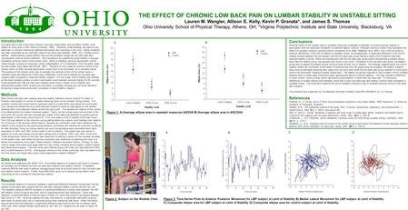 THE EFFECT OF CHRONIC LOW BACK PAIN ON LUMBAR STABILITY IN UNSTABLE SITTING Lauren M. Wangler, Allison E. Kelly, Kevin P. Granata*, and James S. Thomas.