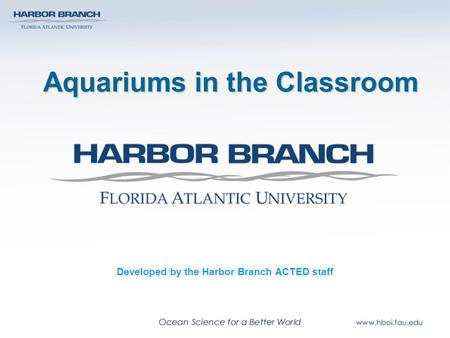 Aquariums in the Classroom Developed by the Harbor Branch ACTED staff.