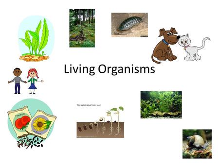Living Organisms.