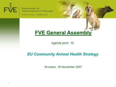 7 1 FVE General Assembly Agenda point 10: EU Community Animal Health Strategy Brussels, 16 November 2007.