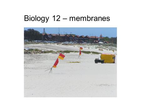 Biology 12 – membranes. Cell structures Is this eukaryotic? Why? Is this a plant or animal cell? Why? Label the structures.