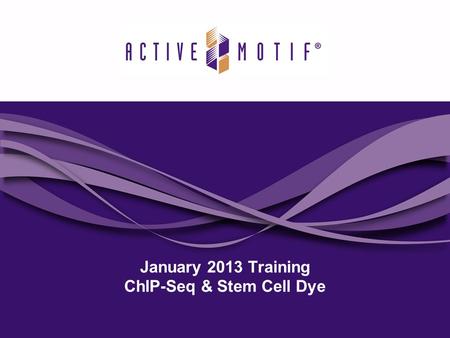 January 2013 Training ChIP-Seq & Stem Cell Dye. Agenda 2 Active Motif is introducing 2 new products in our next issue of Motifvations which will reach.