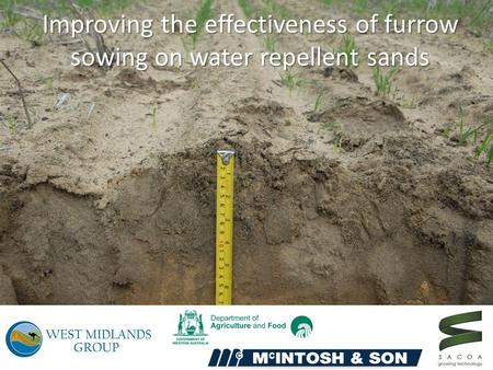 Improving the effectiveness of furrow sowing on water repellent sands.