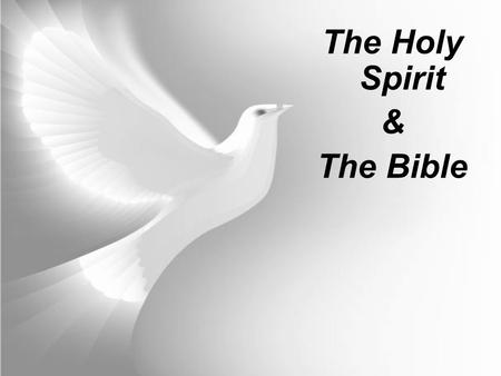 The Holy Spirit & The Bible. Bible Quiz What language was the Bible originally written in? The Old Testament was written mostly in Hebrew, with some Aramaic.