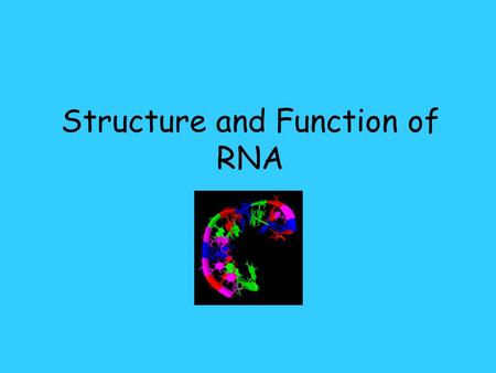 Structure and Function of RNA. RNA- ribonucleic acid 1.RNA is a single strand 2.RNA is made up of smaller subunits called nucleotides 3.Nucleotides consist.