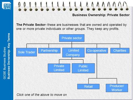 Business Ownership: Private Sector