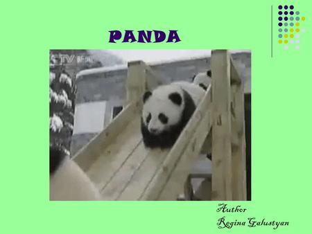 PANDA Author Regina Galustyan. The giant panda, or panda (Ailuropoda melanoleuca, literally meaning black and white cat-foot) is a bear native to central-western.
