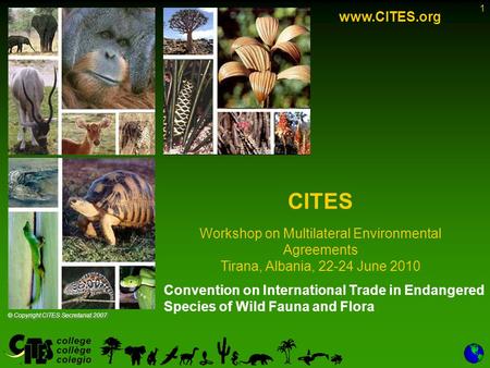 1 Convention on International Trade in Endangered Species of Wild Fauna and Flora www.CITES.org CITES Workshop on Multilateral Environmental Agreements.