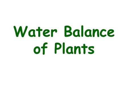 Water Balance of Plants