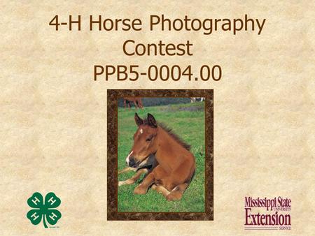 4-H Horse Photography Contest PPB5-0004.00 Presentation prepared by Kathy Nash, and Donna Schmitz, Information & Graphics Technician/ AV Reference Room.
