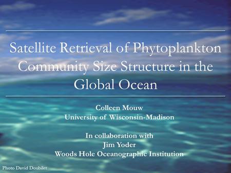 Satellite Retrieval of Phytoplankton Community Size Structure in the Global Ocean Colleen Mouw University of Wisconsin-Madison In collaboration with Jim.