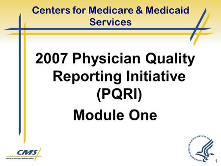 1 Centers for Medicare & Medicaid Services 2007 Physician Quality Reporting Initiative (PQRI) Module One.