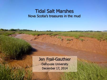 Tidal Salt Marshes Nova Scotia’s treasures in the mud Jen Frail-Gauthier Dalhousie University December 17, 2014.