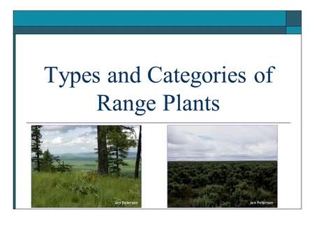 Types and Categories of Range Plants Jen Peterson.