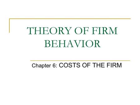 THEORY OF FIRM BEHAVIOR