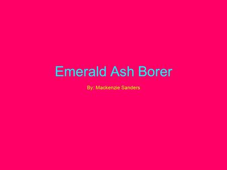 Emerald Ash Borer By: Mackenzie Sanders. Scientific Name. Scientific name: Agrilus Planipennis Common Name: Emerald Ash Borer.