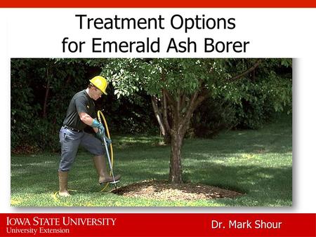 Treatment Options for Emerald Ash Borer Dr. Mark Shour.