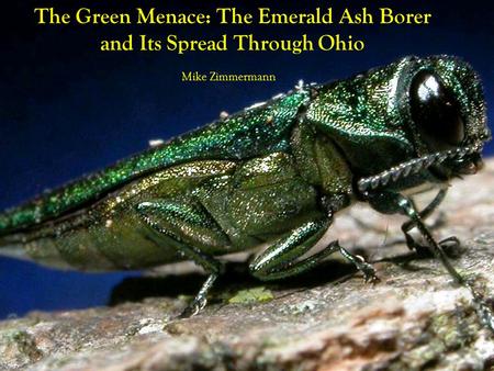 The Green Menace: The Emerald Ash Borer and Its Spread Through Ohio Mike Zimmermann.