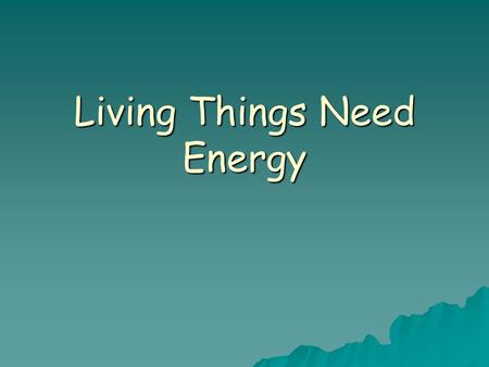 Living Things Need Energy. Energy  Sunlight is the source of energy for almost all living things.