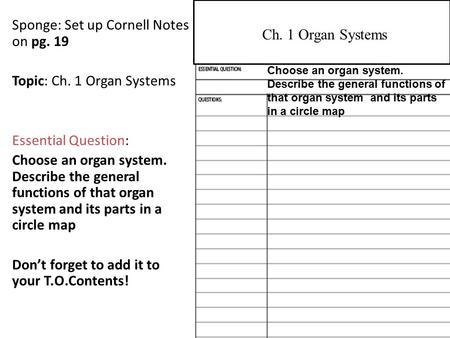 Sponge: Set up Cornell Notes on pg. 19 Topic: Ch. 1 Organ Systems Essential Question: Choose an organ system. Describe the general functions of that organ.