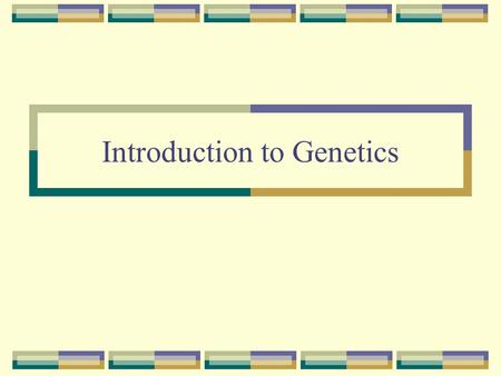 Introduction to Genetics. Genetics – The scientific study of heredity. Example: Geneticist, Genetic counselor, Genetics researcher.
